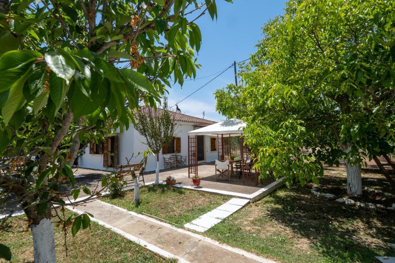 Nagia'S House, Εξοχική Κατοικία Κοντά Στη Θάλασσα! Korakochori Exterior photo